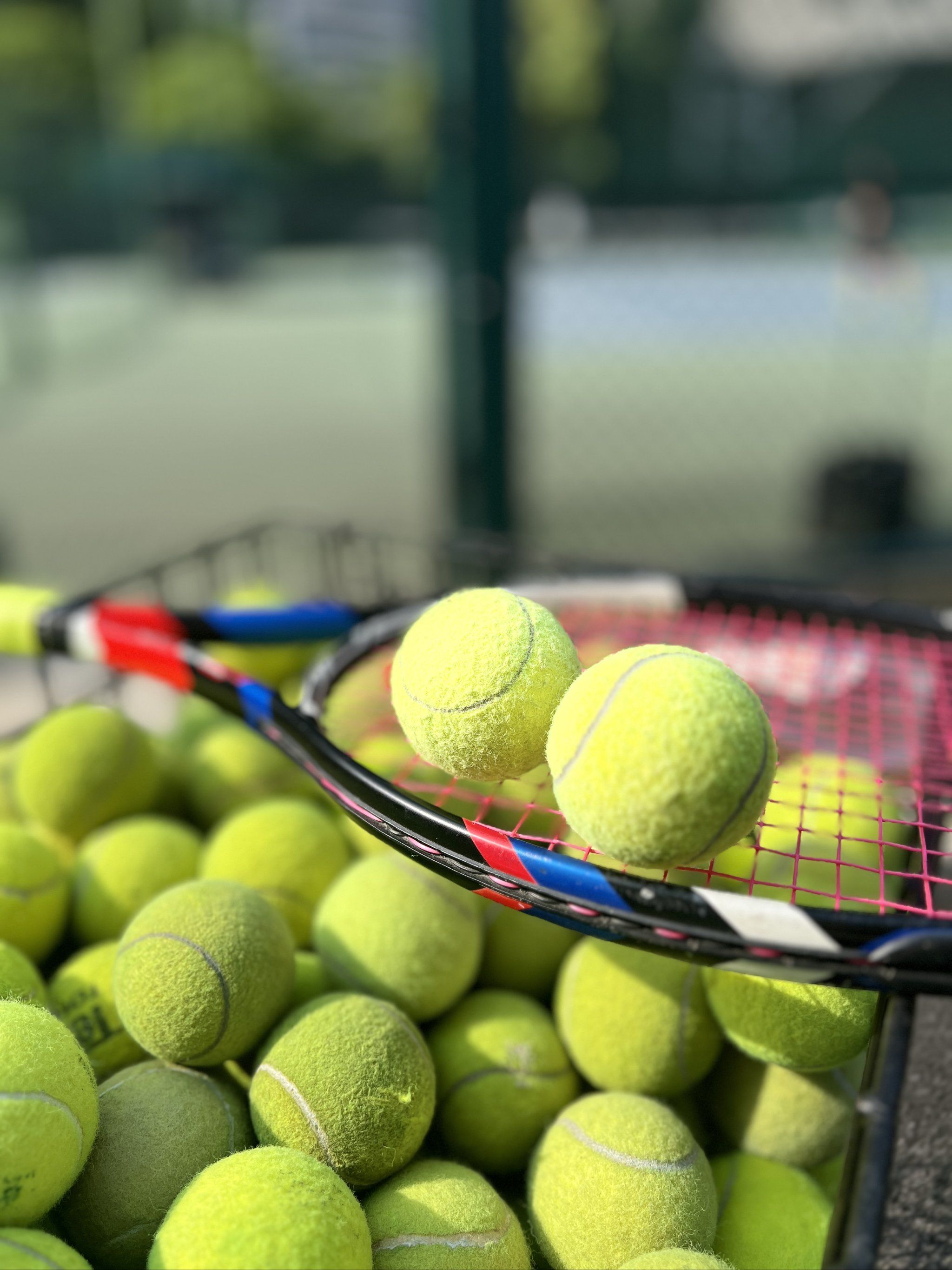 AL中野在 AL中野在